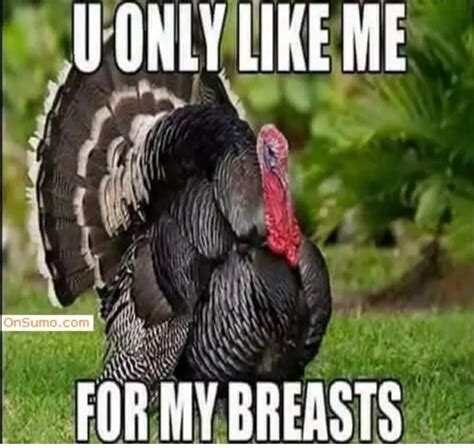 naughty thanksgiving memes|35 Best Thanksgiving Memes 2023 .